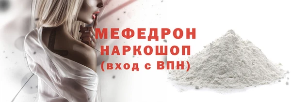 индика Богородицк