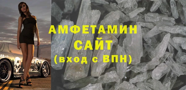 индика Богородицк