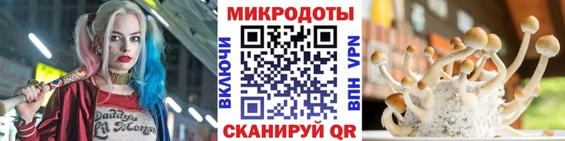 Галлюциногенные грибы Magic Shrooms цены наркотик Светогорск